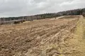 Parcelas 25 000 m² Promna Kolonia, Polonia