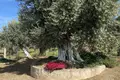 1 room Cottage 150 m² Politika, Greece