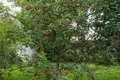 Działki  Anninskoe gorodskoe poselenie, Rosja