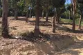 Земельные участки  Ви Чит, Таиланд