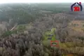 Maison 61 m² Visnieuski sielski Saviet, Bélarus