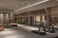 1 bedroom apartment , Turkey