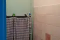 Mieszkanie 2 pokoi 52 m² Bereza Kartuska, Białoruś