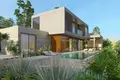 5 bedroom villa 519 m² Armou, Cyprus