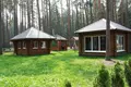 Nieruchomości komercyjne 370 m² rejon bobrujski, Białoruś
