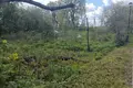 Parcelas  Penikovskoe selskoe poselenie, Rusia