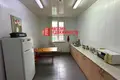 Fabrication 1 351 m² à Kapciouski sielski Saviet, Bélarus