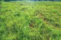 Działki 750 m² Krk, Chorwacja