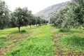 Land 1 room  District of Agios Nikolaos, Greece