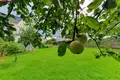 Mieszkanie 3 pokoi 63 m² Rozkazy, Litwa