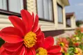 Casa 128 m² Lahojsk selsaviet, Belarús