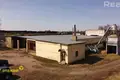 Commercial property 764 m² in Voziera, Belarus