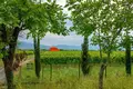 Now available for sale! A new wine factory complex in Kakheti, Telavi Municipality, in the village of Napareuli