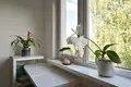 Квартира 2 комнаты 51 м² Рига, Латвия