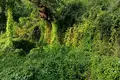 Land  Kunje, Montenegro