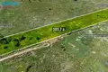 Land  Riese, Lithuania