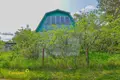 Haus 47 m² Lasanski sielski Saviet, Belarus