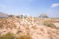 Land 563 m² Sharjah Emirate, UAE