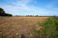 Land 20 800 m² Strzepin, Poland