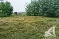 Land 47 m² Novyja Lyscycy, Belarus