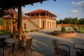 Operating premium class winery – cellar “Zenishi”, located in Kakheti, Sagarejo municipality, in the village of Khashmi