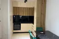 1 bedroom apartment  Montenegro, Montenegro