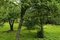 Land  Anninskoe gorodskoe poselenie, Russia