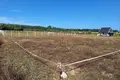 Land 1 003 m² Nienawiszcz, Poland