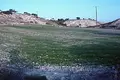 Land  Mazotos, Cyprus