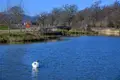 3 bedroom house 119 m² Cranleigh, United Kingdom