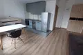 Wohnung 1 zimmer 28 m² in Krakau, Polen