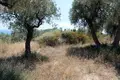 Land 1 room 5 568 m² Gomati, Greece