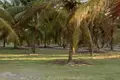 Parcelas  Regiao Geografica Imediata de Salvador, Brasil