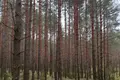 Dom 53 m² Rubiazevicki sielski Saviet, Białoruś