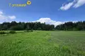 Wohnung 35 m² Usiazski sielski Saviet, Belarus