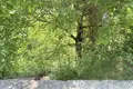 Land 1 630 m² Metsovo, Greece