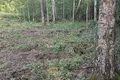 Parcelas  Saskouski sielski Saviet, Belarús