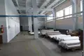 Производство 9 114 м² Орша, Беларусь