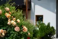 6 room house 175 m² Stockerau, Austria
