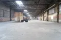 Producción 10 habitaciones 290 m² en Radashkovichy, Belarús
