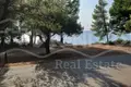 Land 58 000 m² Nikiti, Greece