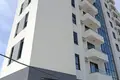 1 bedroom apartment 43 m² Bjelisi, Montenegro