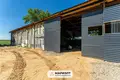 Производство 300 м² в Михановичском сельском Совете, Беларусь