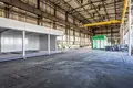 Shop 2 030 m² in Rogozno, Poland