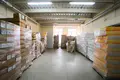 Produktion 631 m² in Suharukia, Belarus