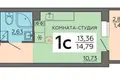 1 room apartment 15 m² Voronezh, Russia