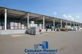 Propriété commerciale 10 810 m² à Homiel, Biélorussie