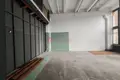 Commercial property 44 m² in Minsk, Belarus