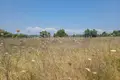 Land 5 048 m² Elassona Municipality, Greece