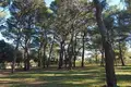 Willa 12 058 m² Grad Rovinj, Chorwacja
